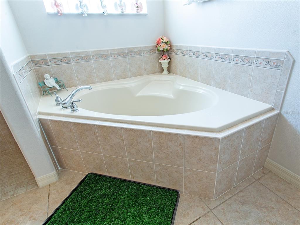 3805 E Kiwi Cove Court Property Photo 60