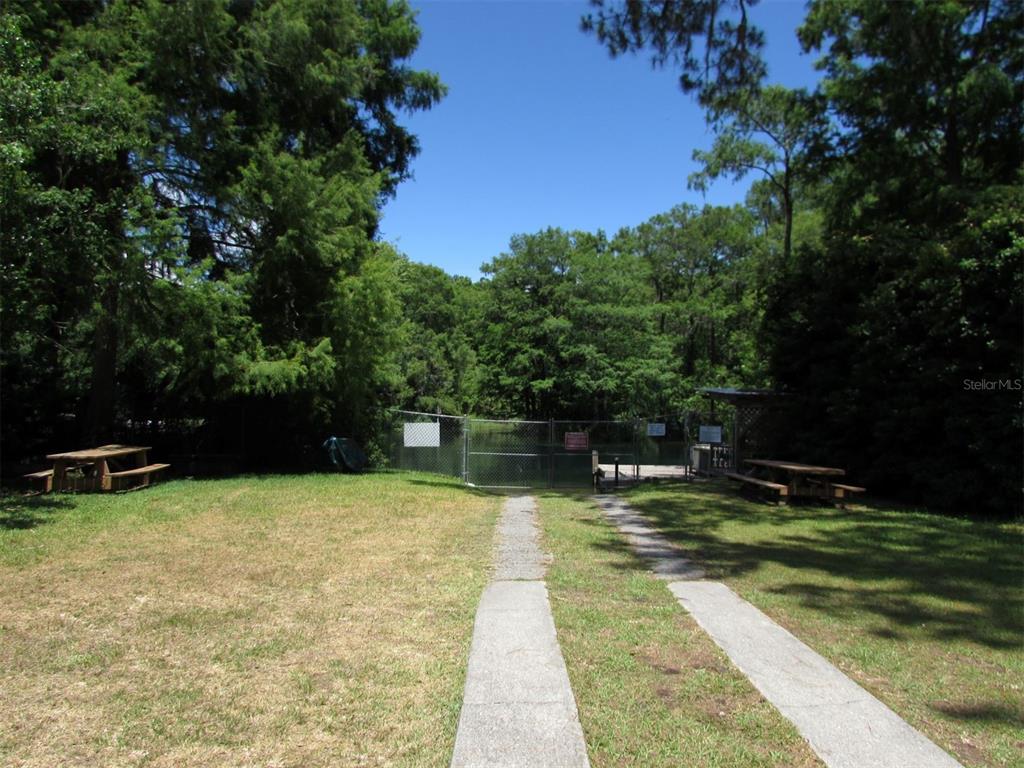 11731 Camp Dr Property Photo 54