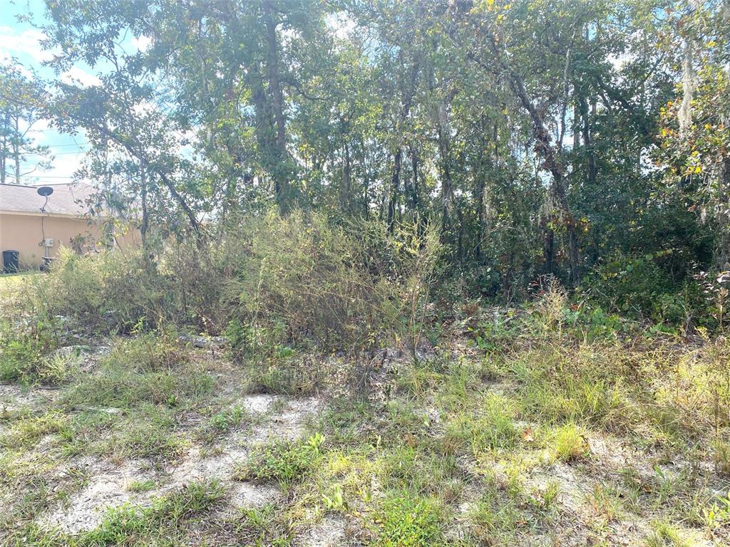Tbd Sw 59th Avenue Road Property Photo 5