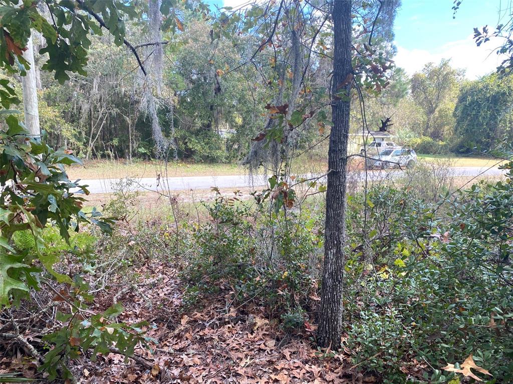 Tbd Sw 59th Avenue Road Property Photo 6