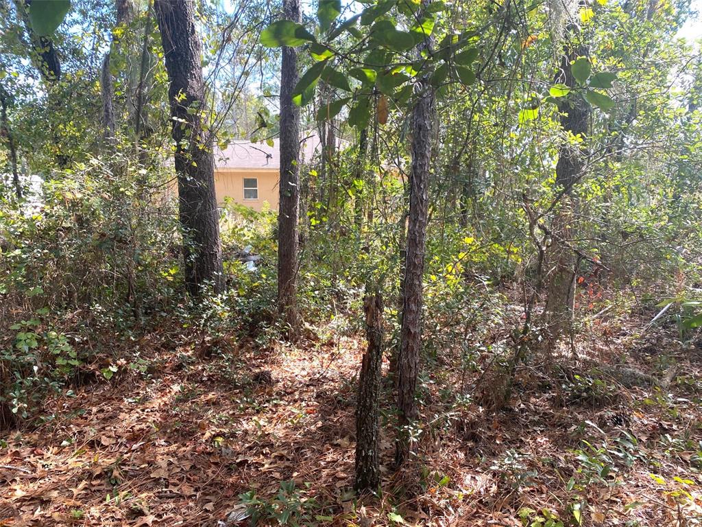 Tbd Sw 59th Avenue Road Property Photo 8