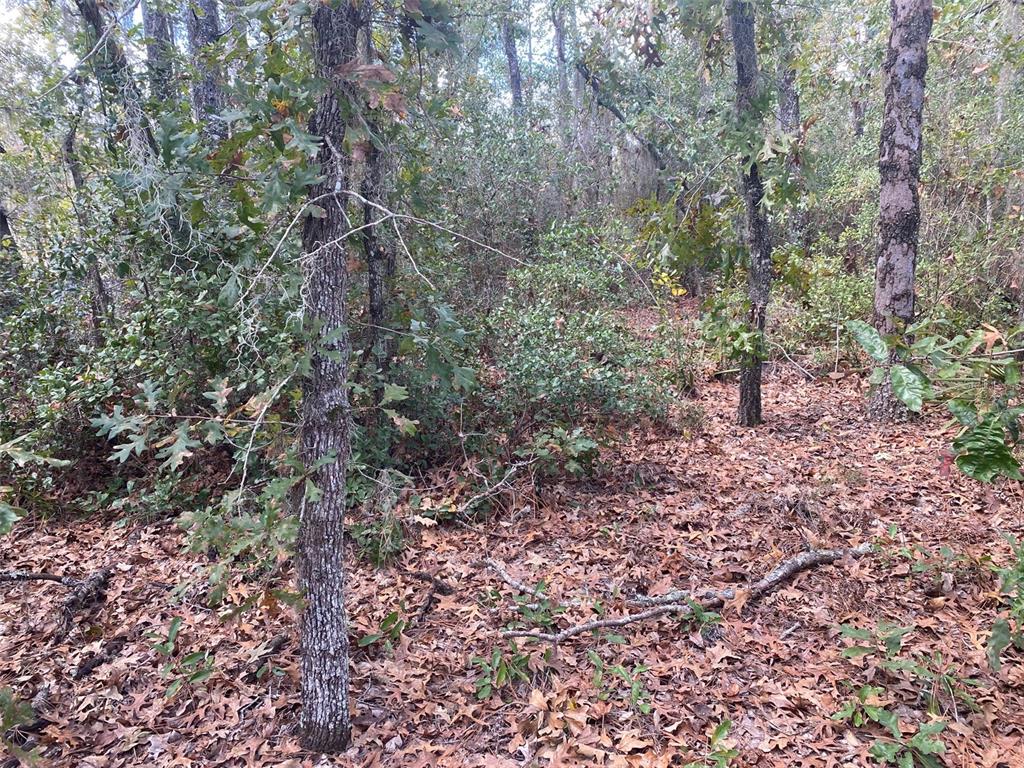 Tbd Sw 59th Avenue Road Property Photo 9