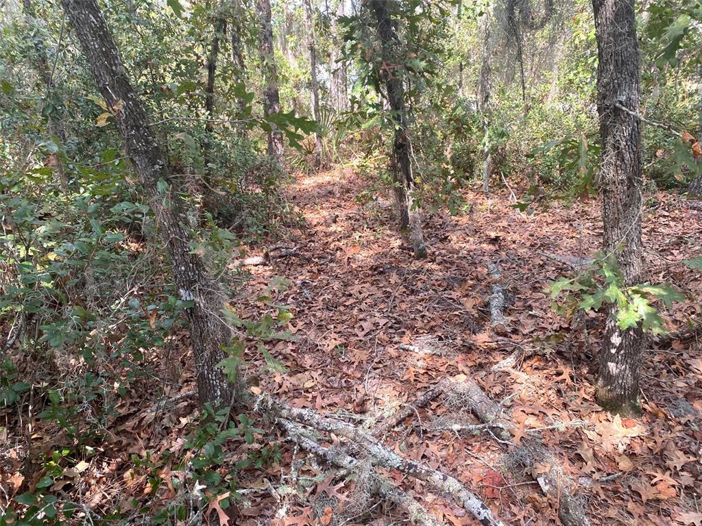 Tbd Sw 59th Avenue Road Property Photo 10