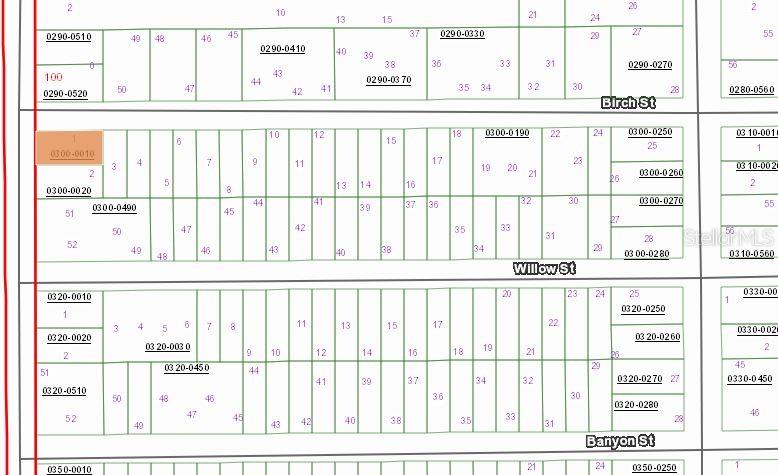 00 BIRCH ST Property Photo 1