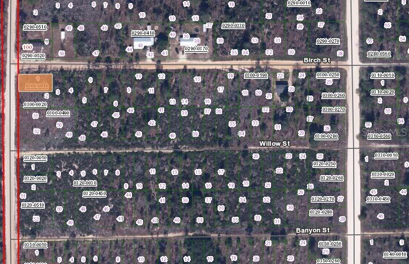 00 Birch St Property Photo 2