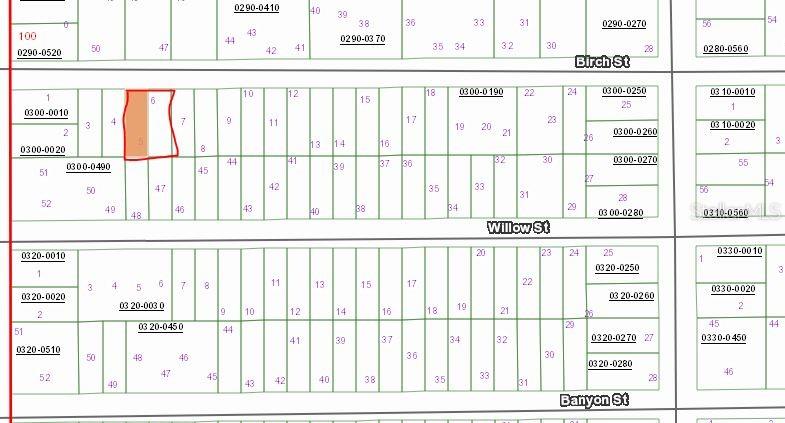 BIRCH ST Property Photo 1