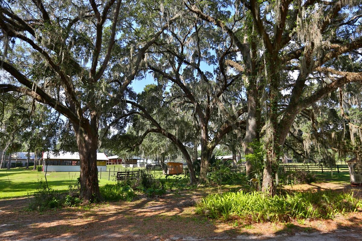 13450 Nw Gainesville Rd Property Photo 8