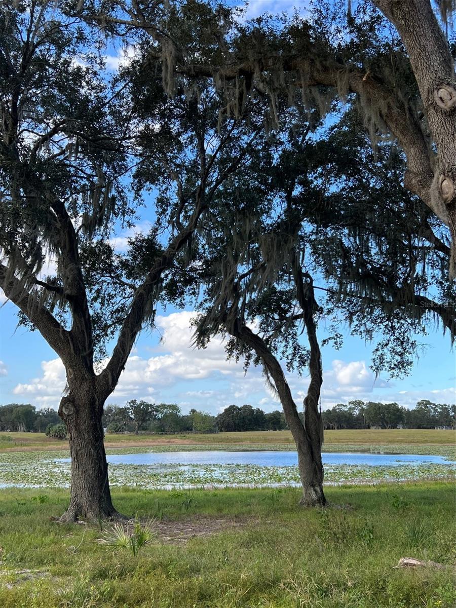 Se 74th Lane Rd #9-west Property Photo 28