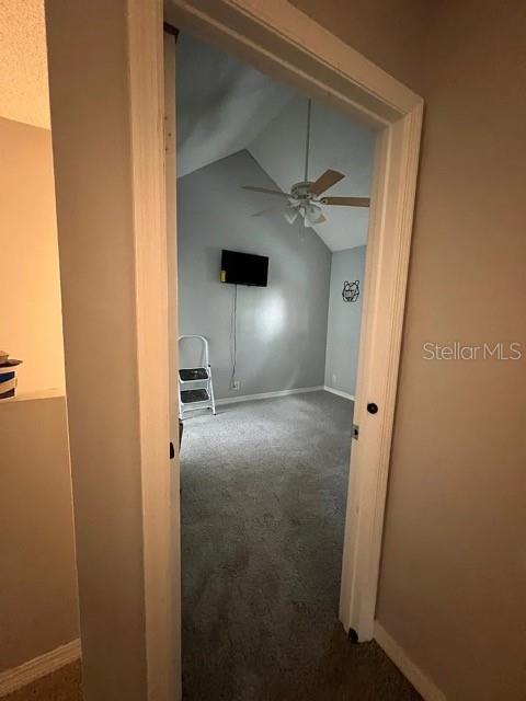 2300 Twelve Oaks Dr #j6 Property Photo 19