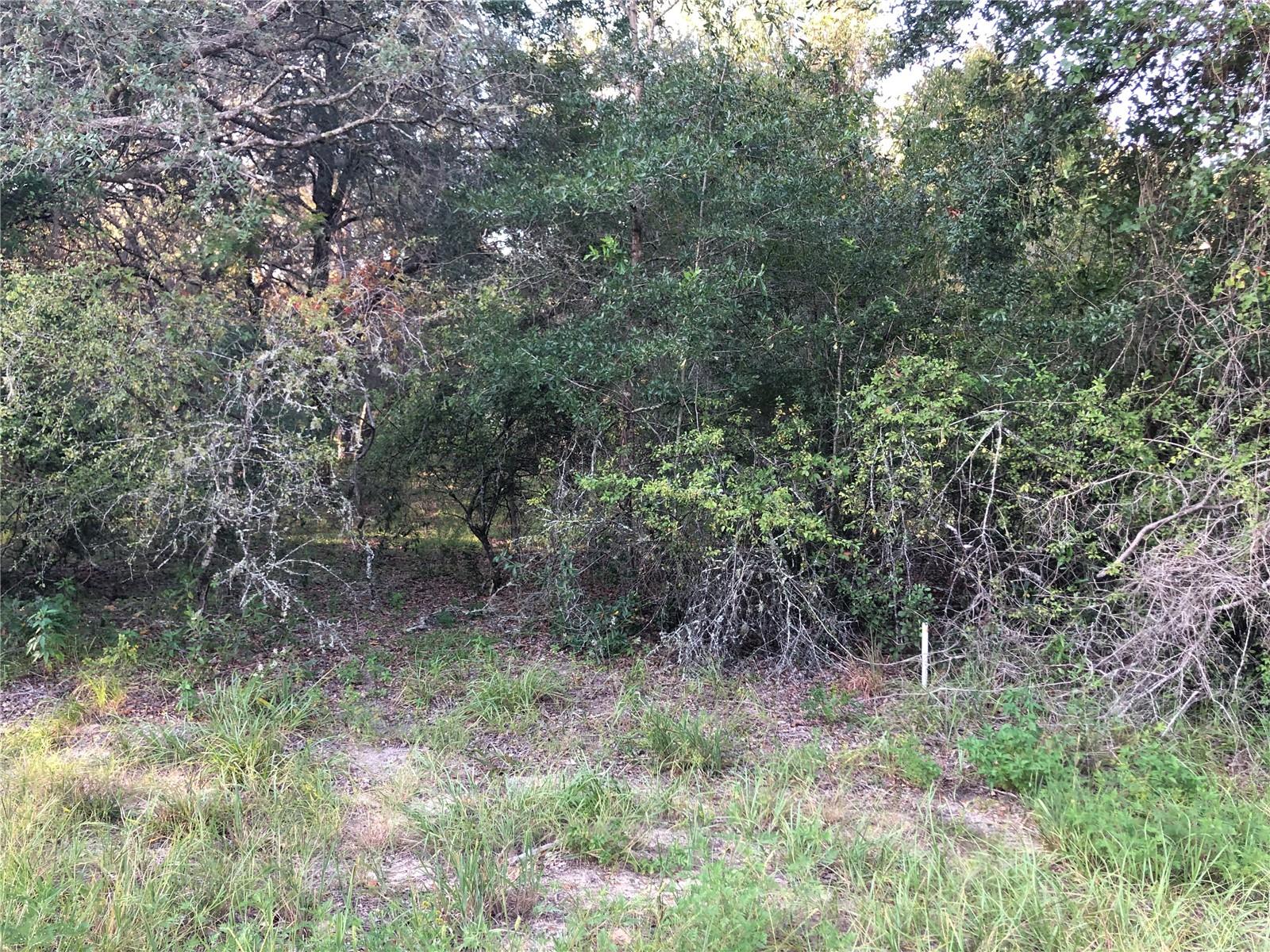 20865 Sw 70th Street Property Photo 5