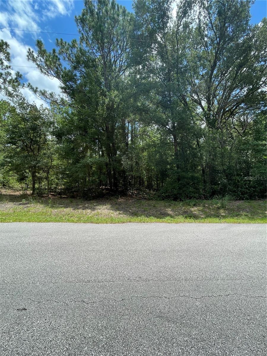 Tbd Sw 59th Ln Property Photo 1