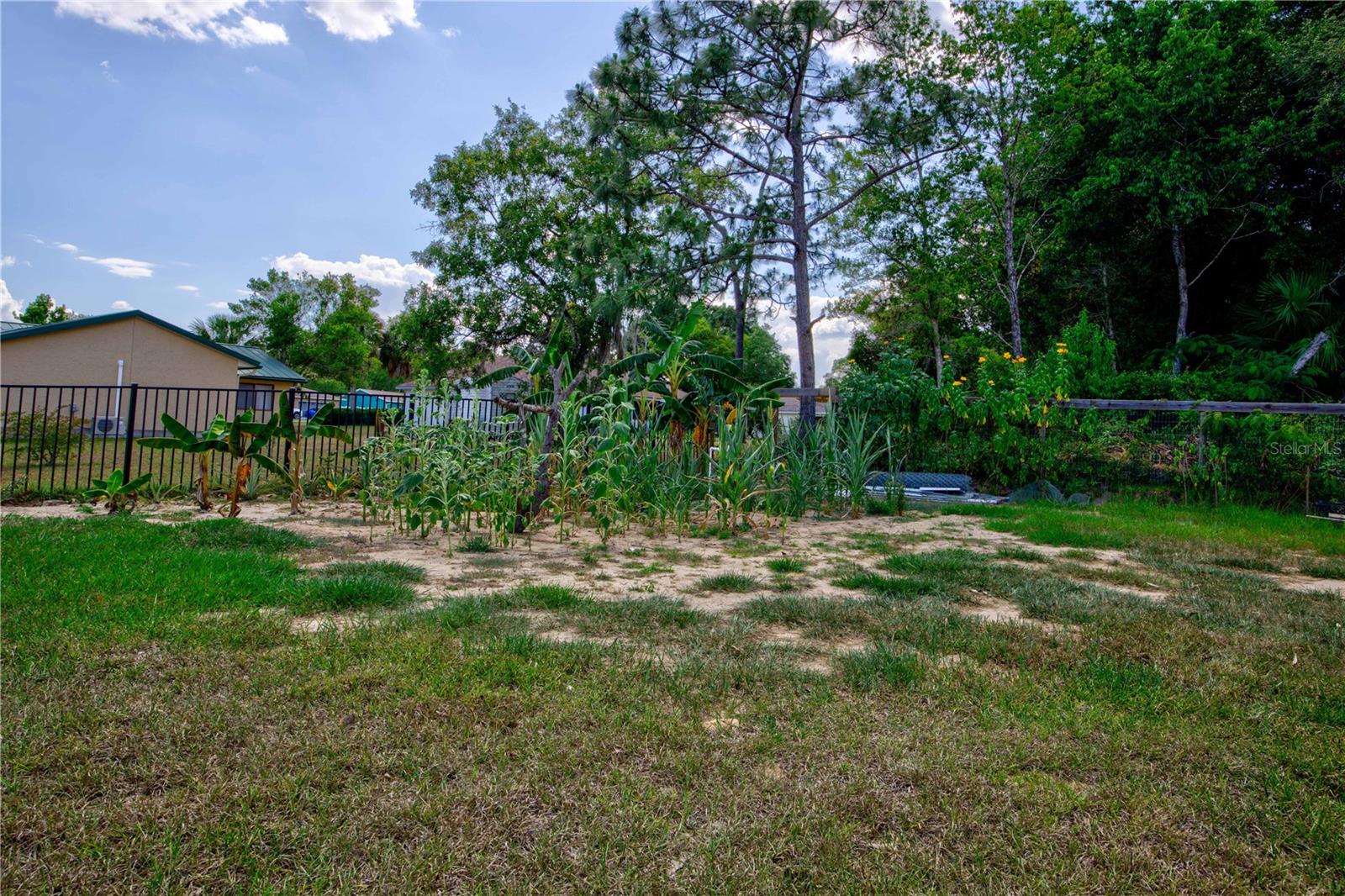 567 Silver Course Run Property Photo 58