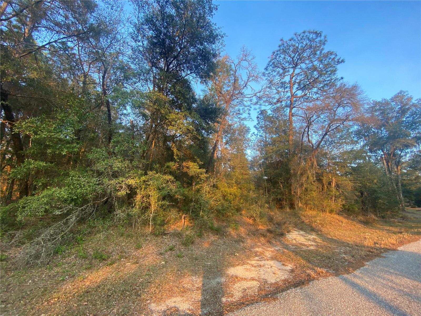 Lot 28 Sw 206 Cir Property Photo 2