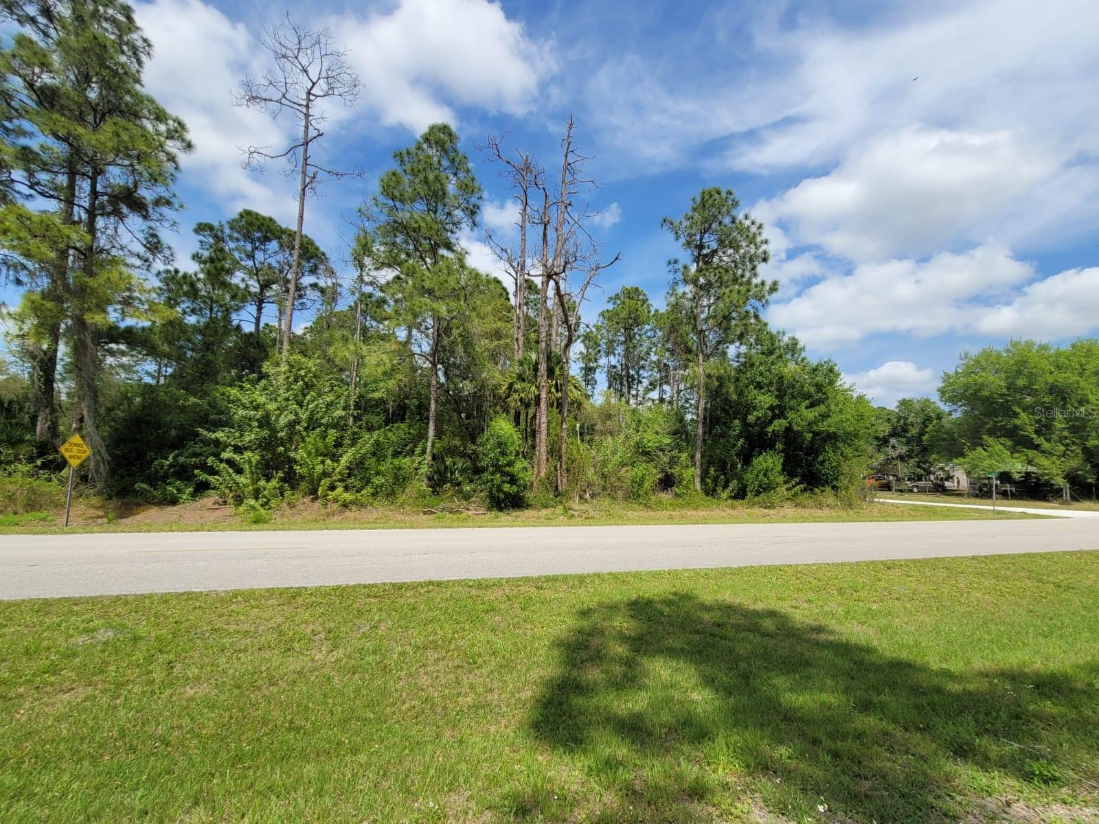 421 Avenida Del Sur Property Photo 2