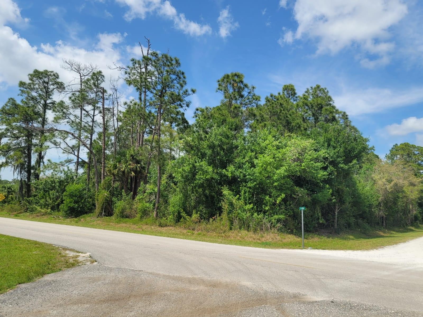 421 Avenida Del Sur Property Photo 4