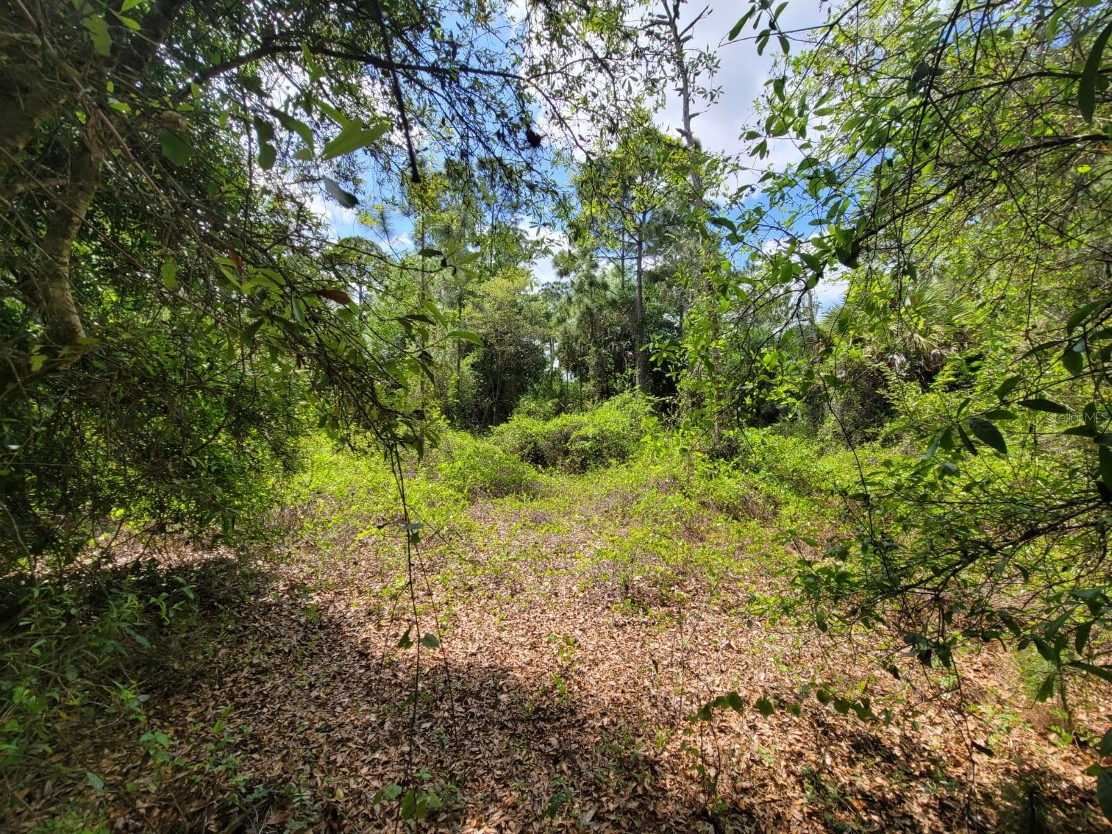 421 Avenida Del Sur Property Photo 7