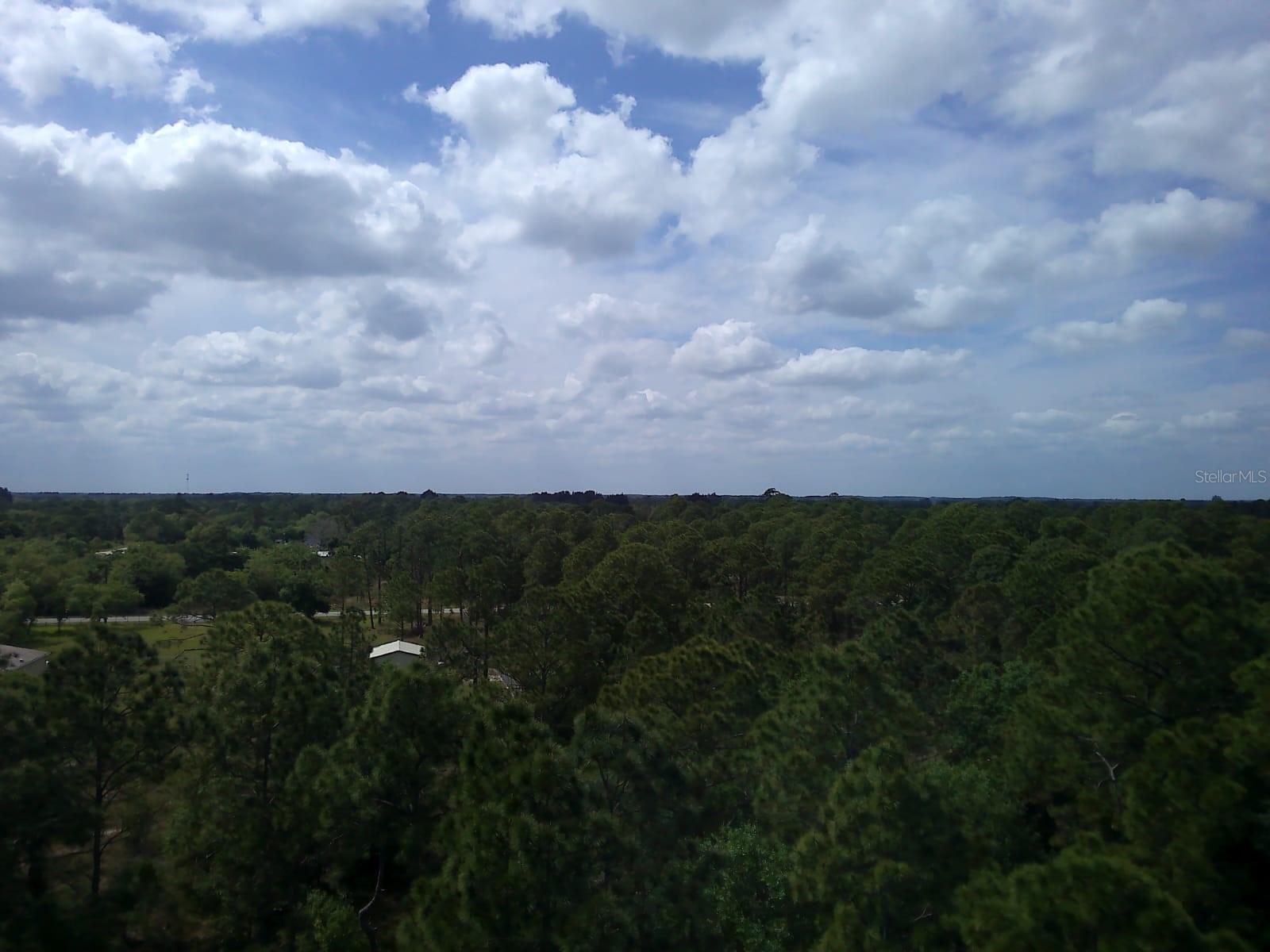 421 Avenida Del Sur Property Photo 8