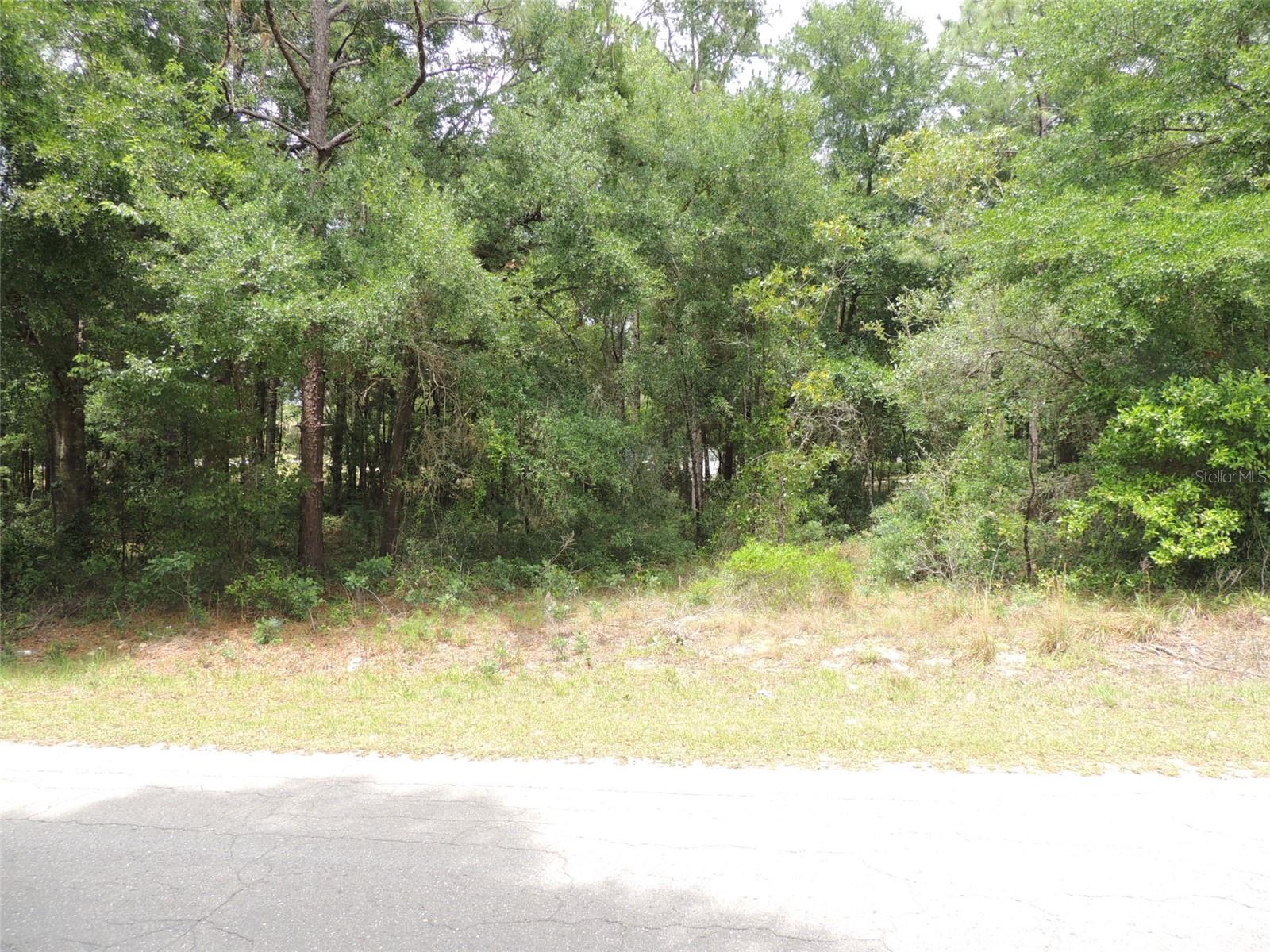 15955 Ne 13th St Property Photo 4