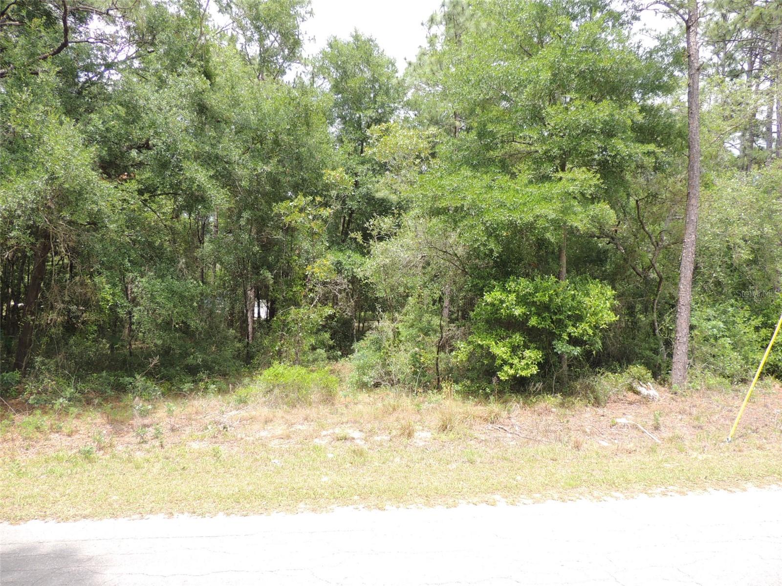 15955 Ne 13th St Property Photo 6