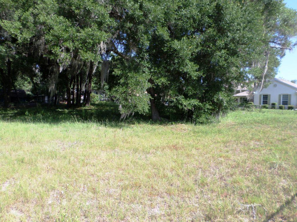 000 Blue Heron Ct #000 Property Photo 1
