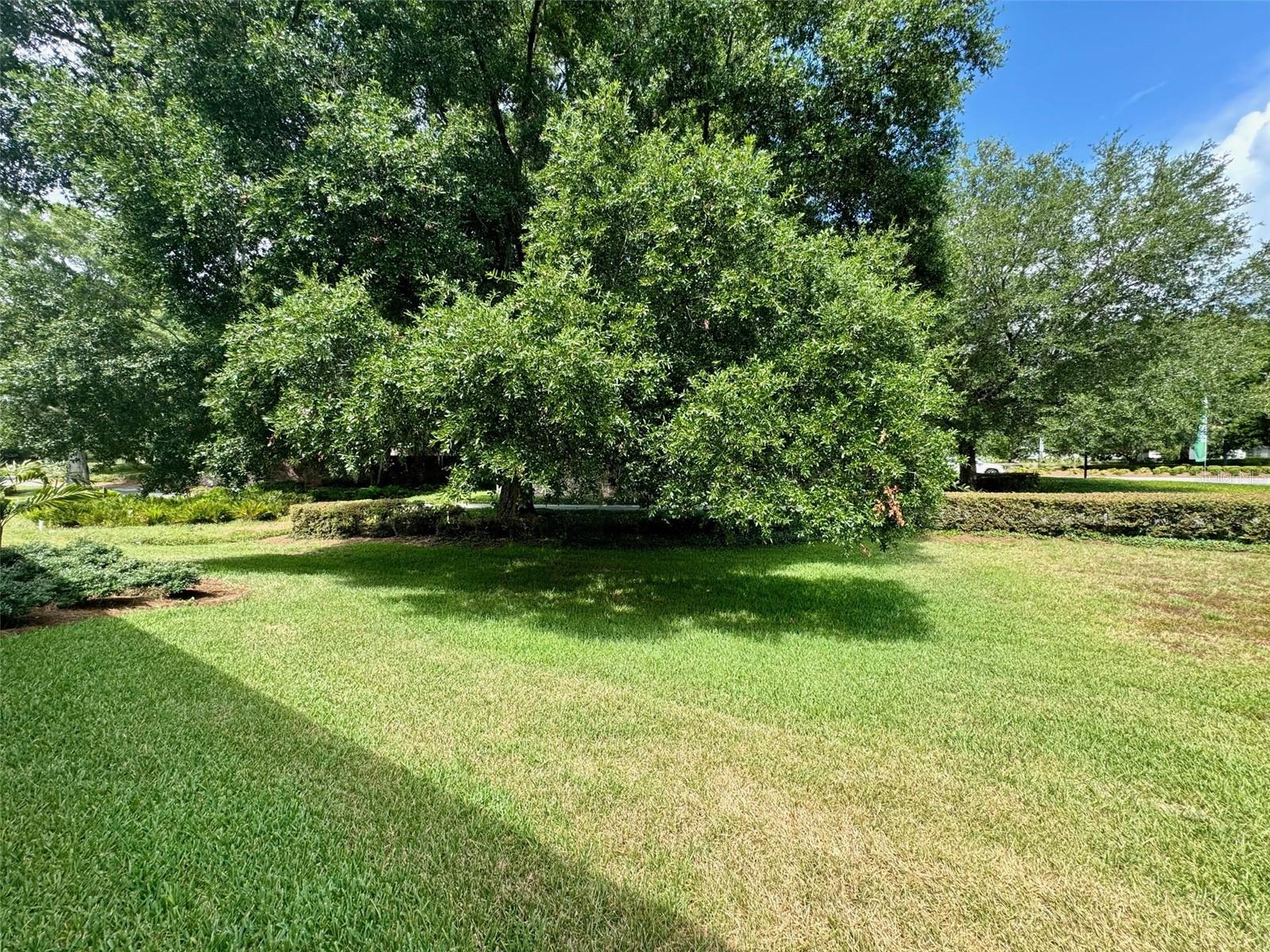 3342 Nw 54th Ct Property Photo 11