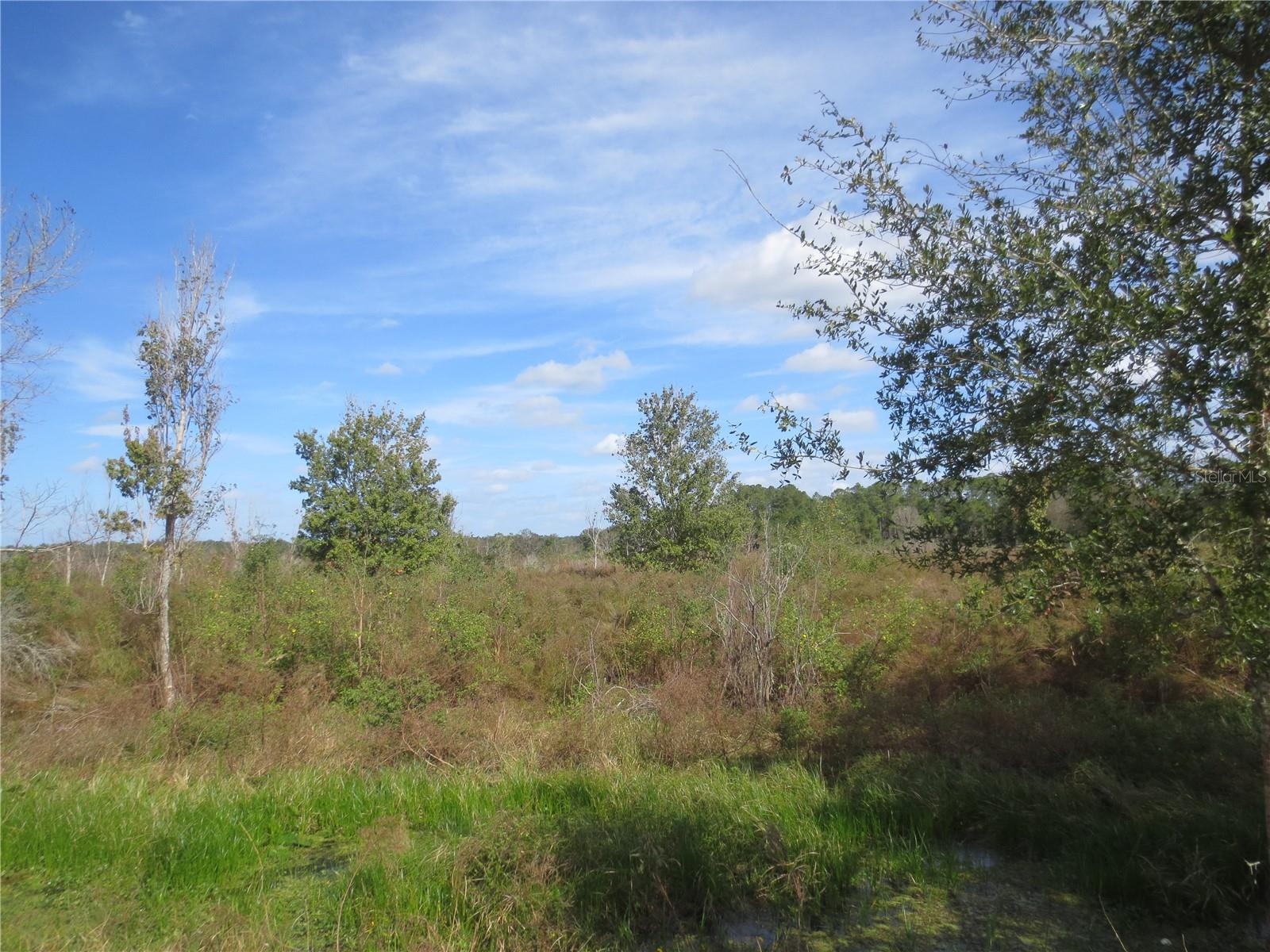 18791 Se 50th St Property Photo 27