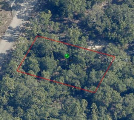 9541 N WALLACE WAY Property Photo 1