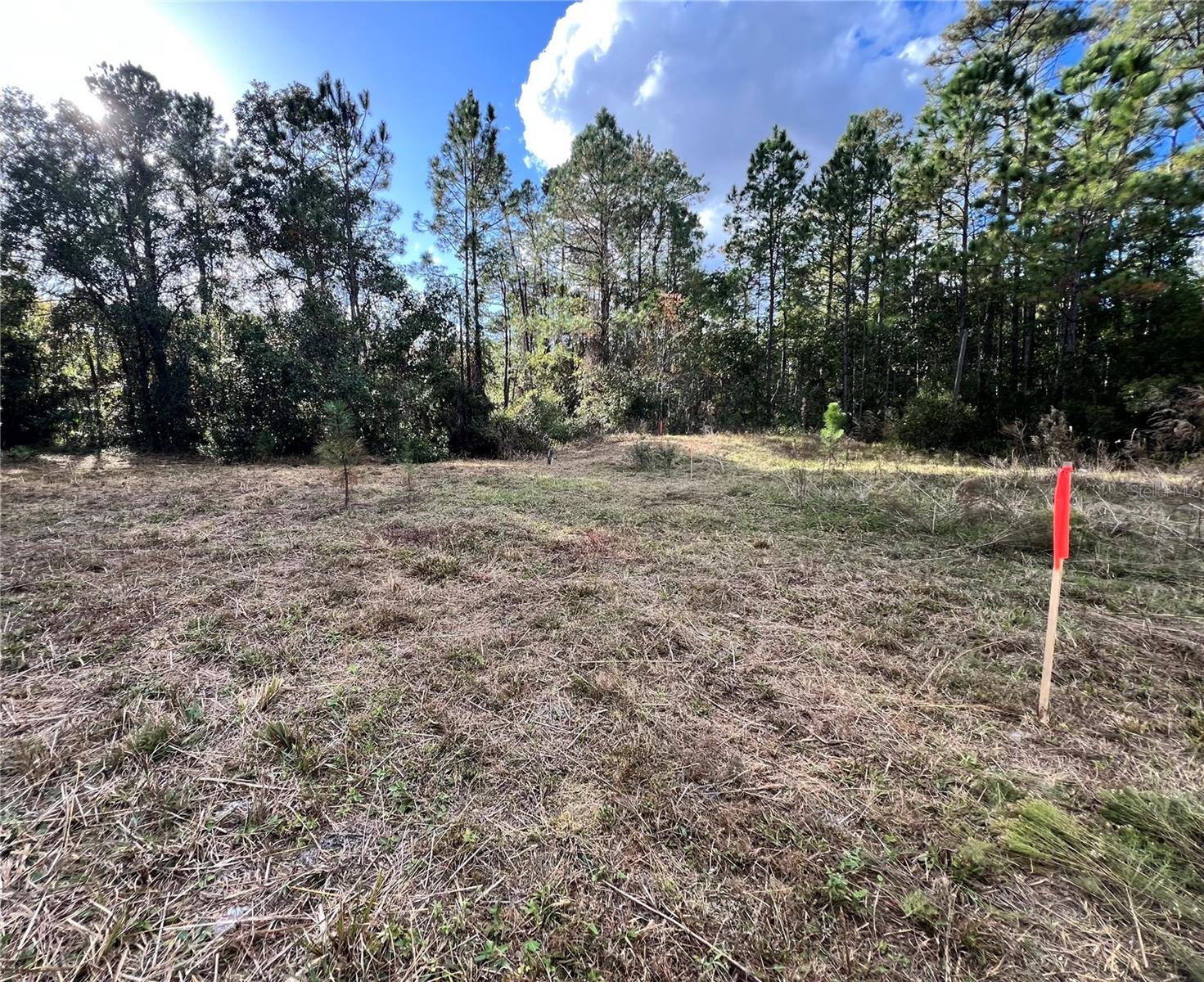 307 Mallard Rd Property Photo 1