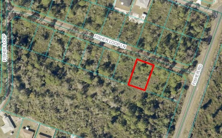 0 FISHER LOOP LN Property Photo 1