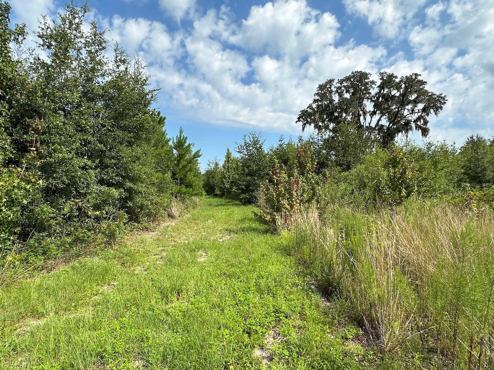 OM686174 Property Photo 3