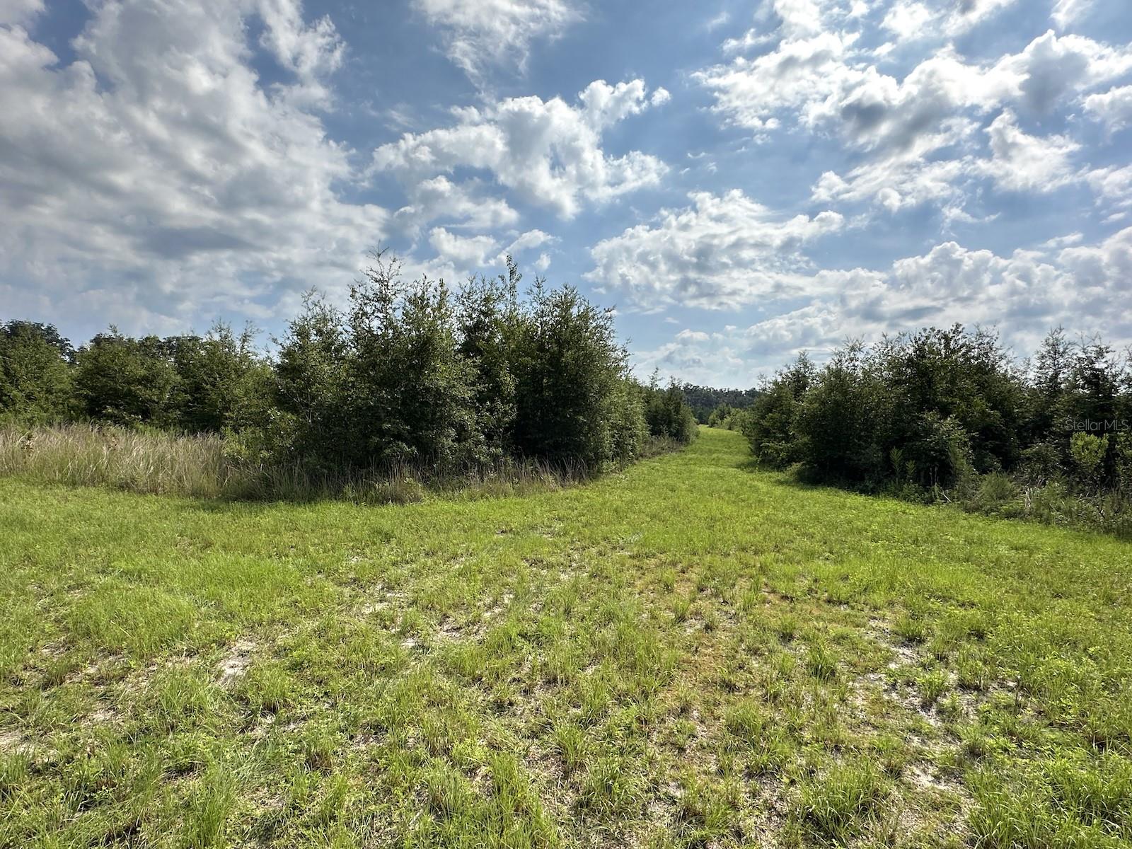 OM686174 Property Photo 15