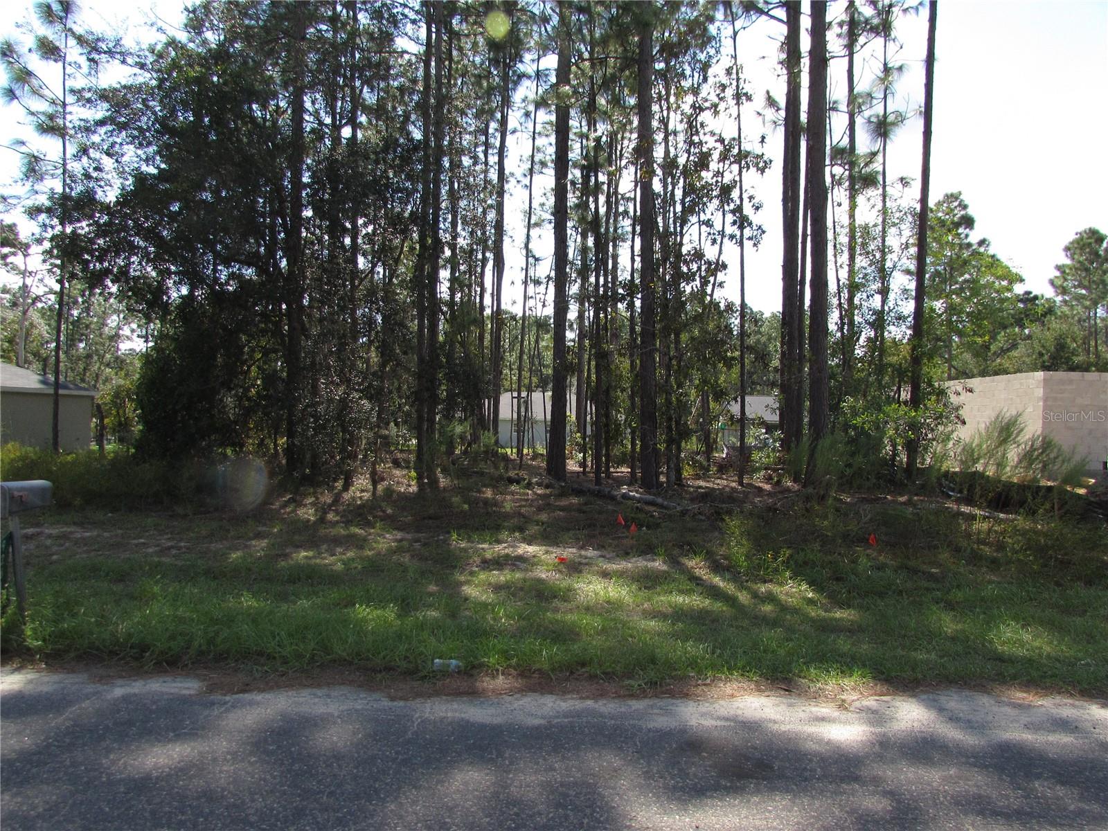9250 N Travis Dr Property Photo 6