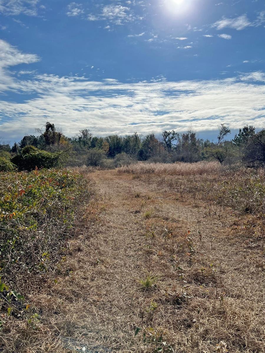 00 Sw Cr 249 Property Photo 3