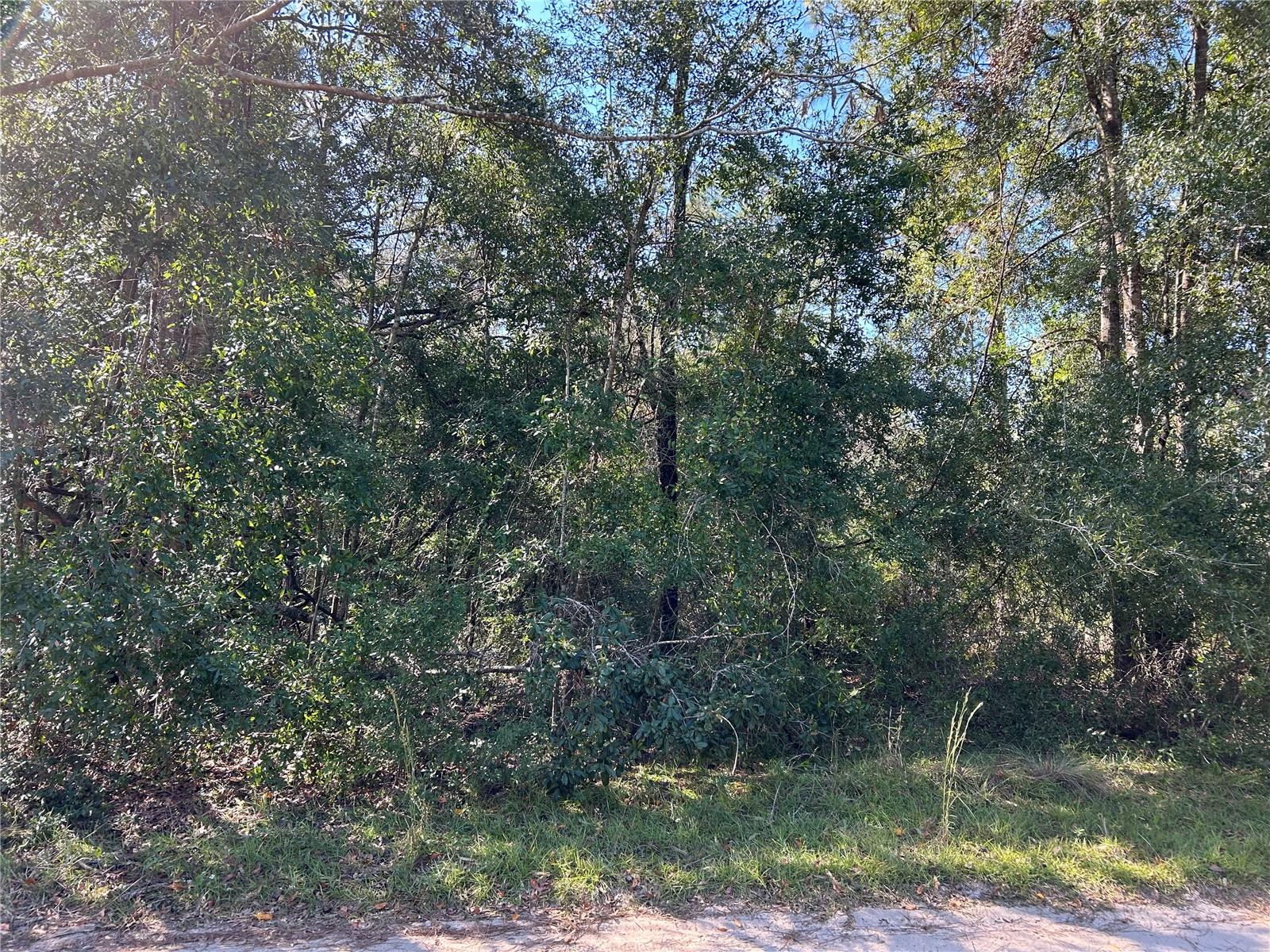 Tbd Ne 138th Terr Property Photo 1