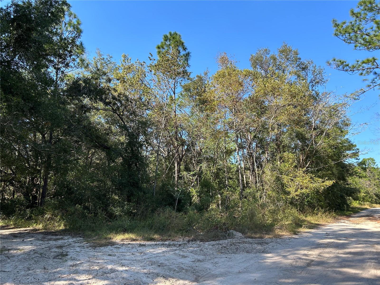 Tbd Ne 138th Terr Property Photo 2