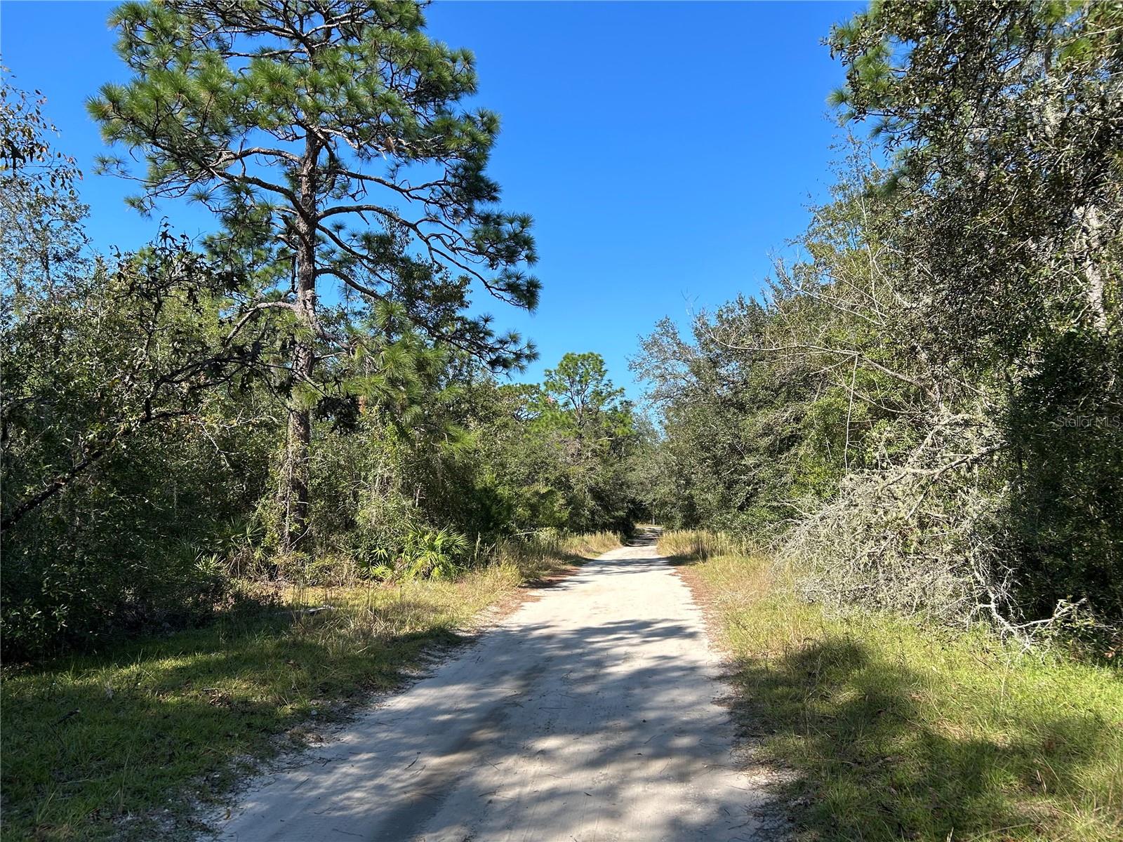 Tbd Ne 138th Terr Property Photo 3