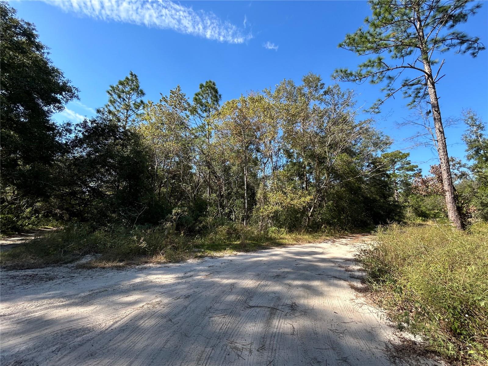 Tbd Ne 138th Terr Property Photo 5