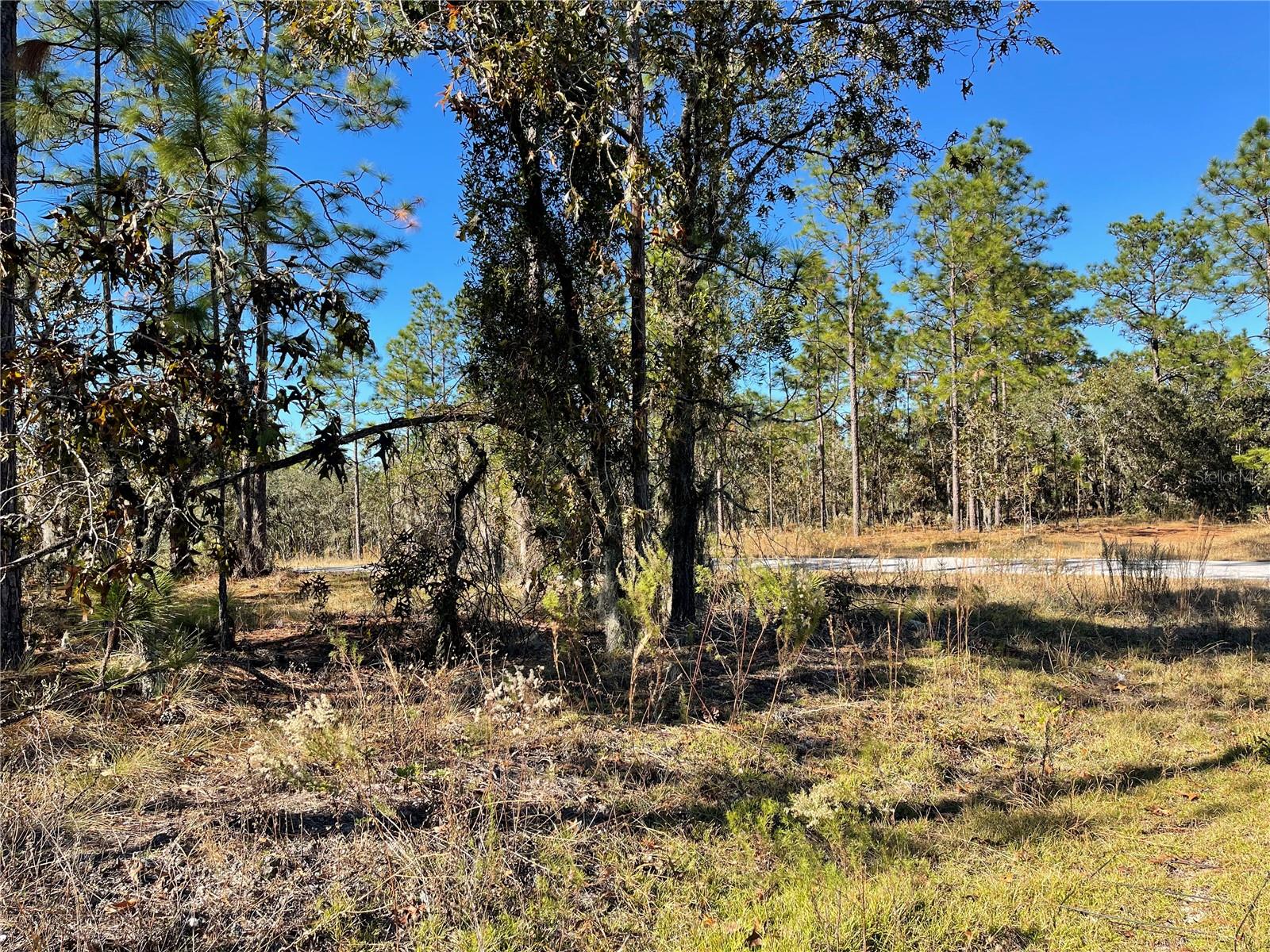 Lot 1 SE 131ST AVE Property Photo 1