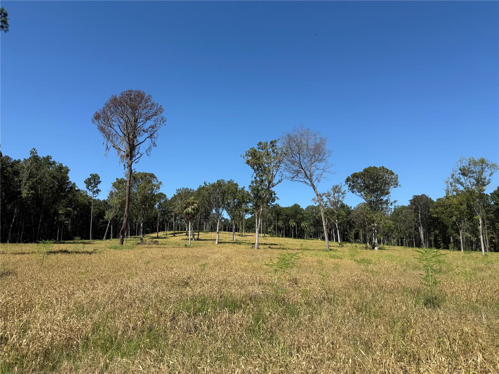 62ac Nw 193rd St Property Photo 1