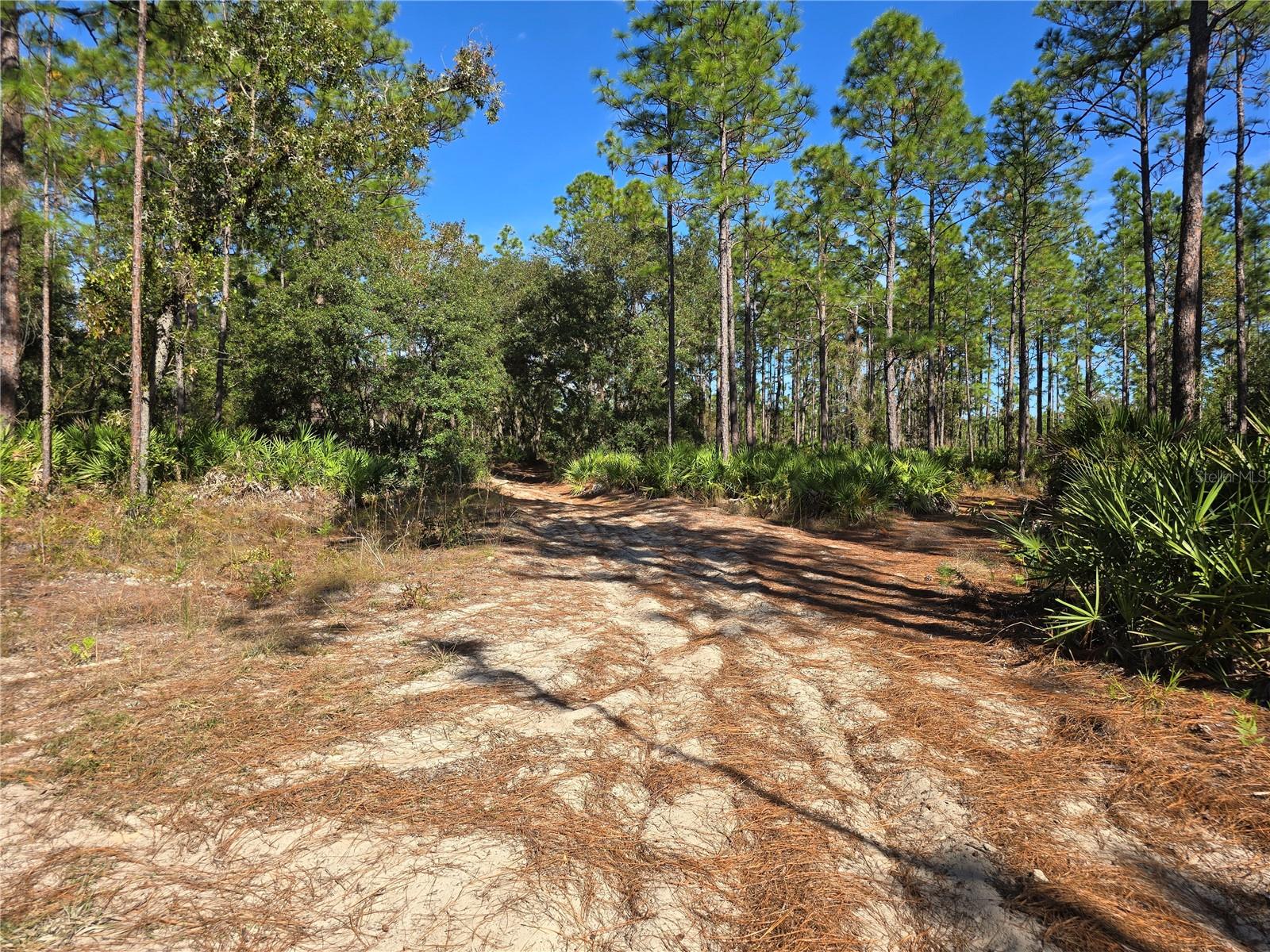 5449 N Smokey Mountain Pt Property Photo 1