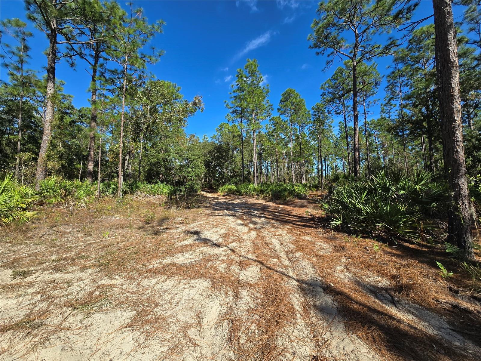 5449 N Smokey Mountain Pt Property Photo 2
