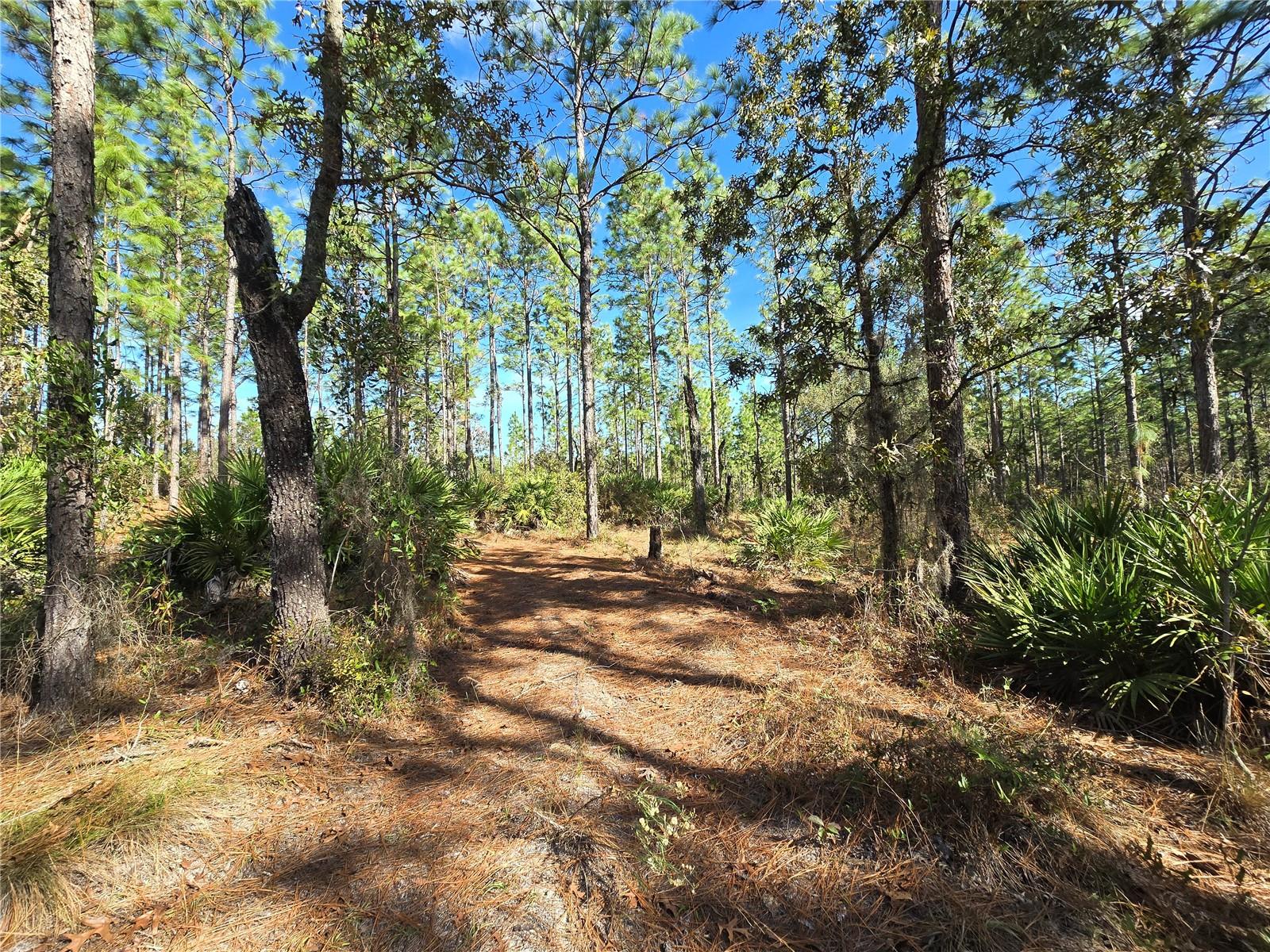 5449 N Smokey Mountain Pt Property Photo 3