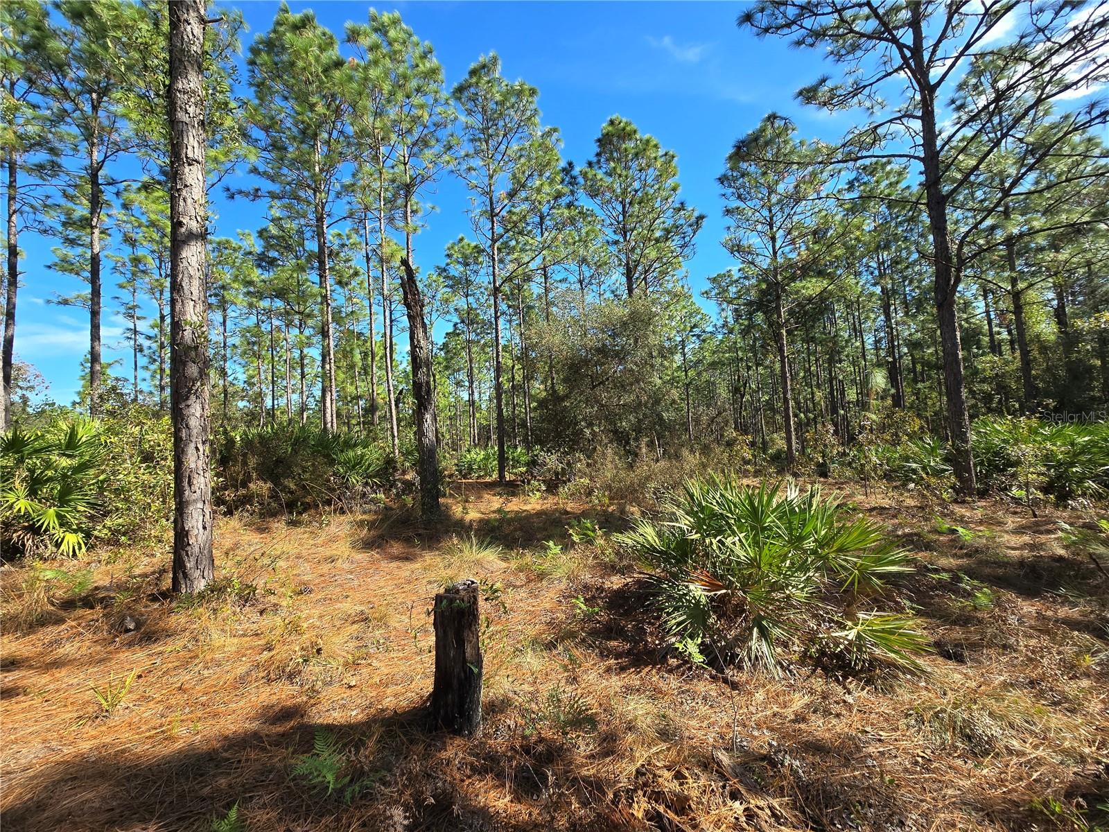 5449 N Smokey Mountain Pt Property Photo 4