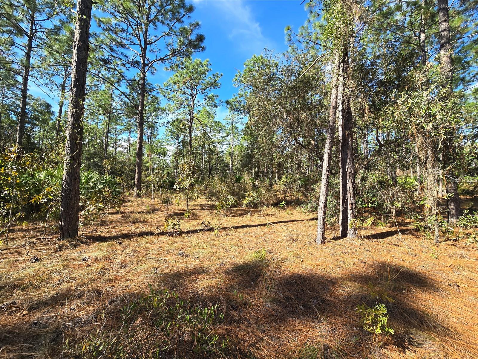 5449 N Smokey Mountain Pt Property Photo 9