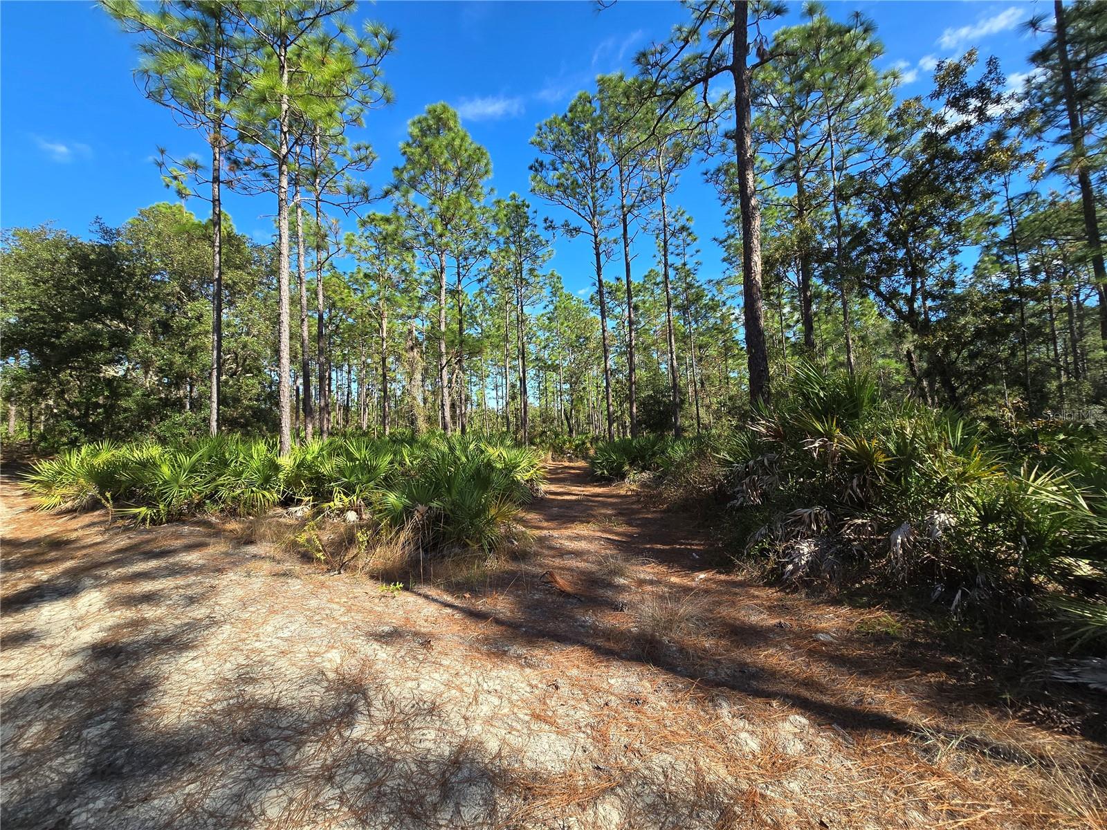 5449 N Smokey Mountain Pt Property Photo 11
