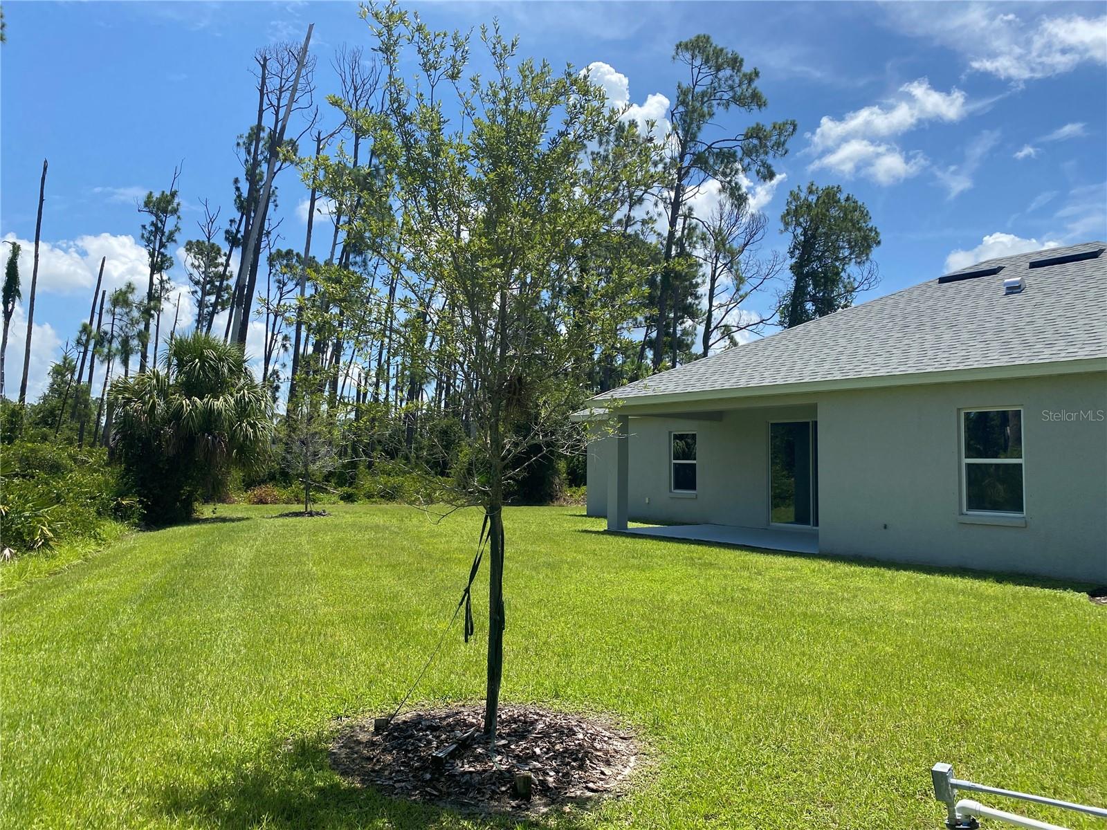 1828 Spaniel Ave Property Photo 2