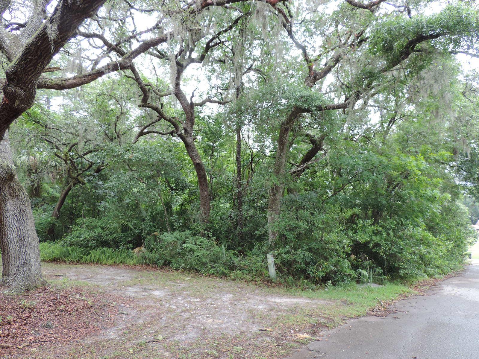 0 Myrtle St Property Photo 2