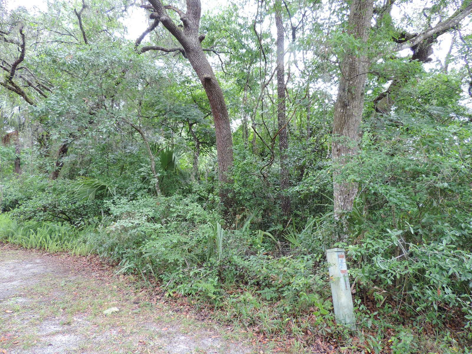 0 Myrtle St Property Photo 4