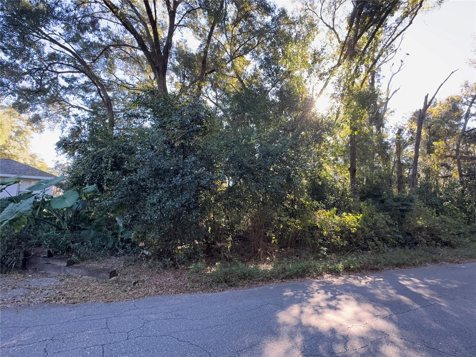 533 N Woodlake Ave Property Photo 4