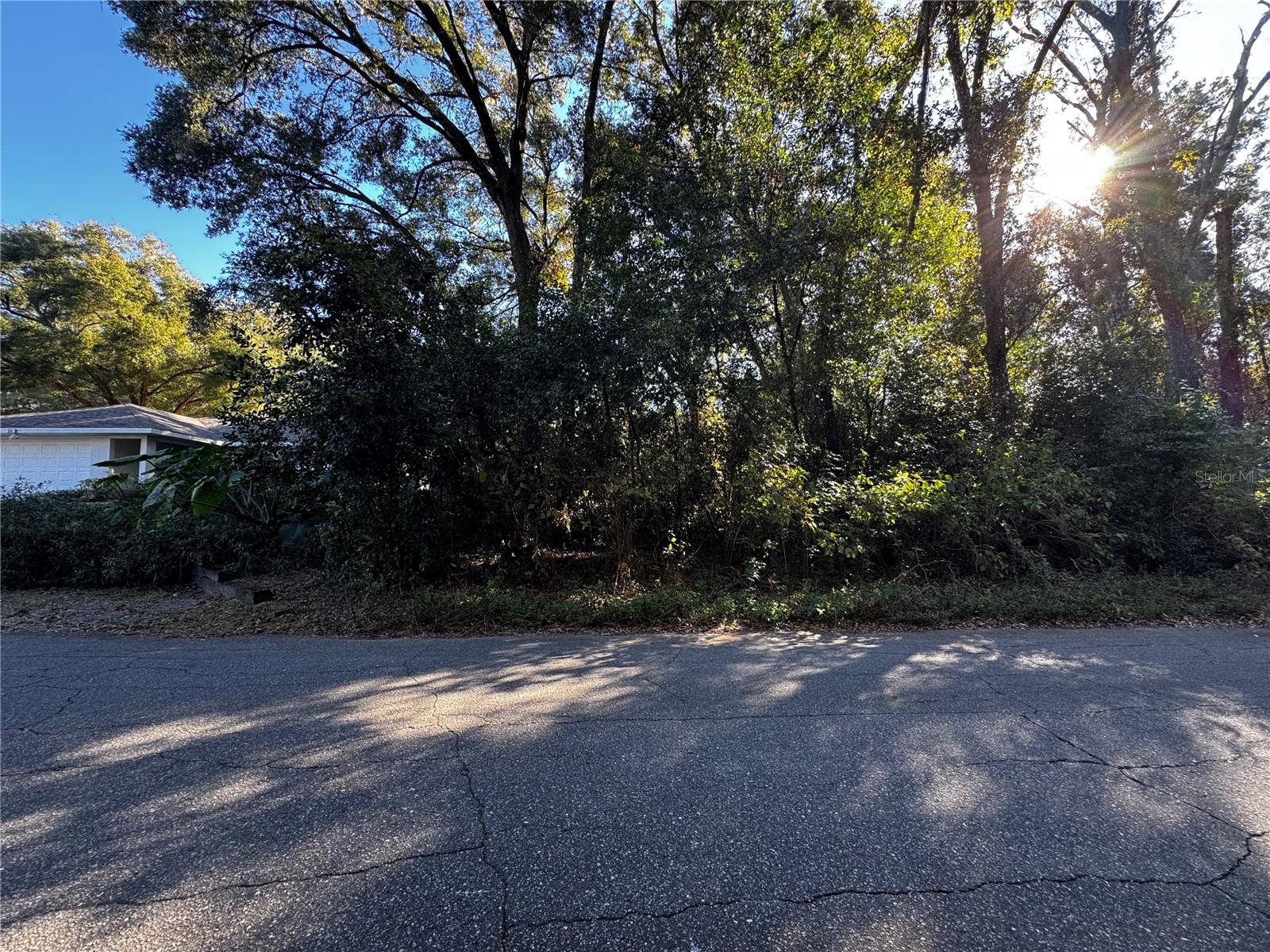 533 N Woodlake Ave Property Photo 5